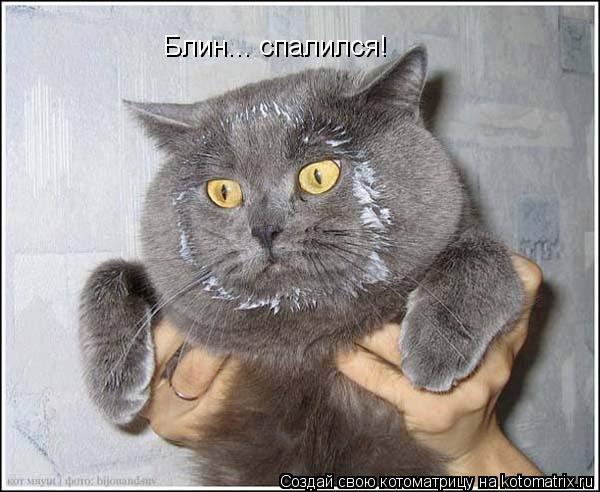 Блин... спалился!... Котоматрица: Блин... спалился!