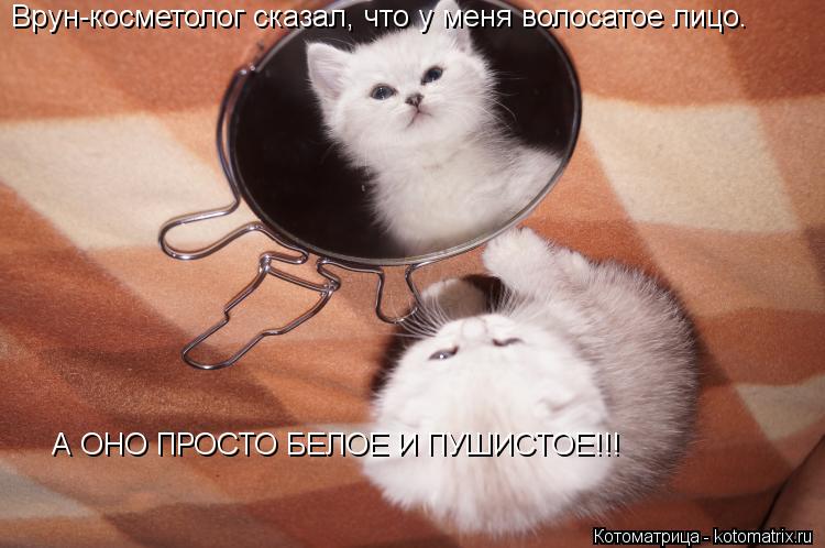 Врун-косметолог сказал, что у меня волосатое лицо. А ОНО ПРОСТО БЕЛОЕ И ПУШИСТОЕ!!!... Котоматрица: Врун-косметолог сказал, что у меня волосатое лицо. А ОНО ПРОСТО БЕЛОЕ И ПУШИСТОЕ!!!