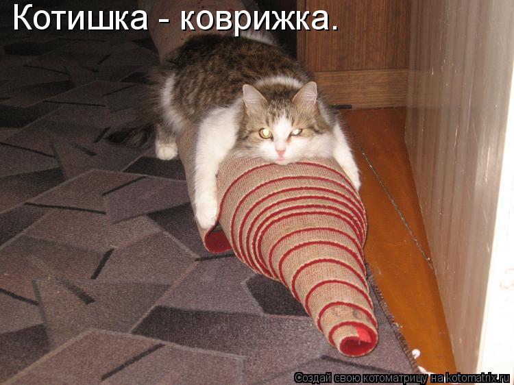 Котишка - коврижка.... Котоматрица: Котишка - коврижка.