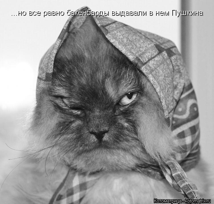 ...но все равно бакенбарды выдавали в нем Пушкина... Котоматрица: ...но все равно бакенбарды выдавали в нем Пушкина