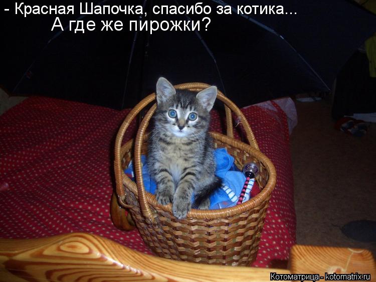 - Красная Шапочка, спасибо за котика... А где же пирожки?... Котоматрица: - Красная Шапочка, спасибо за котика... А где же пирожки?