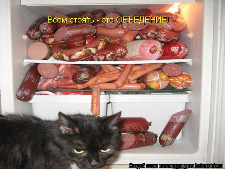 Всем стоять - это ОБЪЕДЕНИЕ!... Котоматрица: Всем стоять - это ОБЪЕДЕНИЕ!