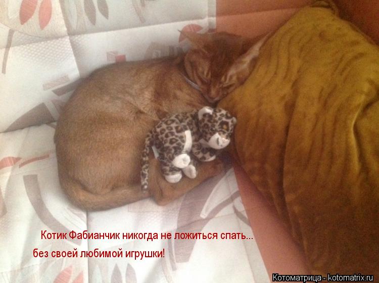 Котик Фабианчик никогда не ложиться спать... без своей любимой игрушки!... Котоматрица: Котик Фабианчик никогда не ложиться спать... без своей любимой игрушки!
