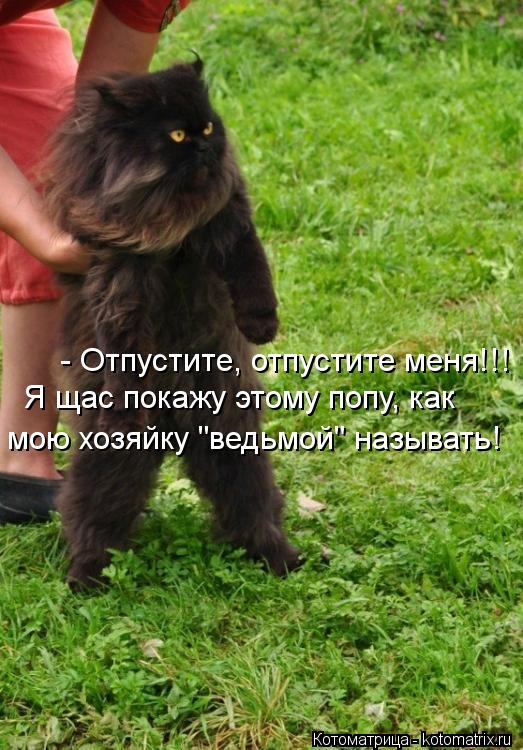 - Отпустите, отпустите меня!!! Я щас покажу этому попу, как мою хозяйку "ведьмой" называть!... Котоматрица: - Отпустите, отпустите меня!!! Я щас покажу этому попу, как мою хозяйку "ведьмой" называть!