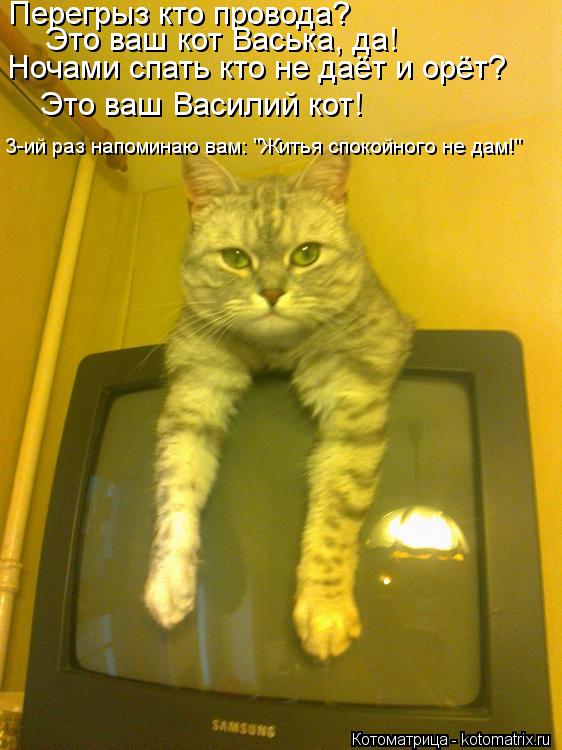 Перегрыз кто провода? Это ваш кот Васька, да! Ночами спать кто не даёт и орёт? Это ваш Василий кот! ... Котоматрица: Перегрыз кто провода? Это ваш кот Васька, да! Ночами спать кто не даёт и орёт? Это ваш Василий кот! 3-ий раз напоминаю вам: "Житья спокойного не