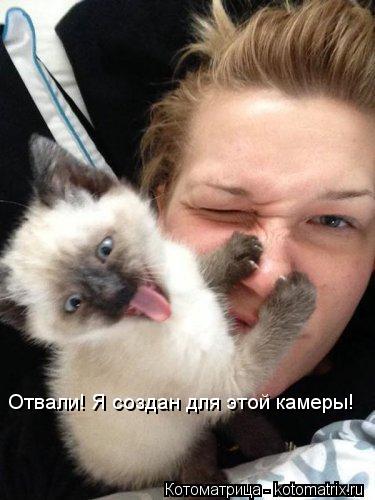 Отвали! Я создан для этой камеры!... Котоматрица: Отвали! Я создан для этой камеры!
