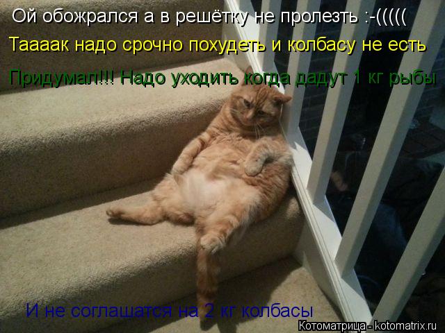 Ой обожрался а в решётку не пролезть :-((((( Таааак надо срочно похудеть и колбасу не есть Придумал!!... Котоматрица: Ой обожрался а в решётку не пролезть :-((((( Таааак надо срочно похудеть и колбасу не есть Придумал!!! Надо уходить когда дадут 1 кг рыбы И не сог