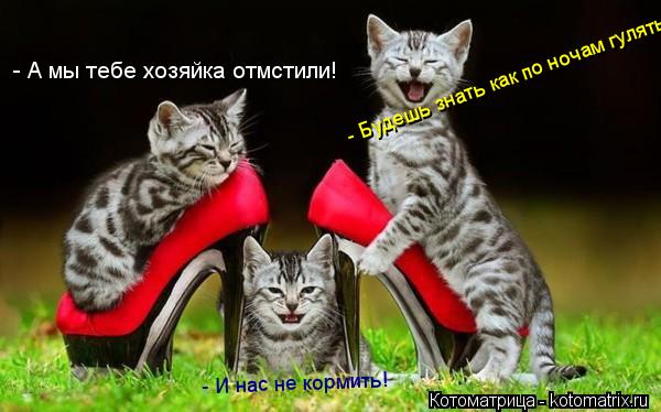 - А мы тебе хозяйка отмстили! - Будешь знать как по ночам гулять! - И нас не кормить!... Котоматрица: - А мы тебе хозяйка отмстили! - Будешь знать как по ночам гулять! - И нас не кормить!