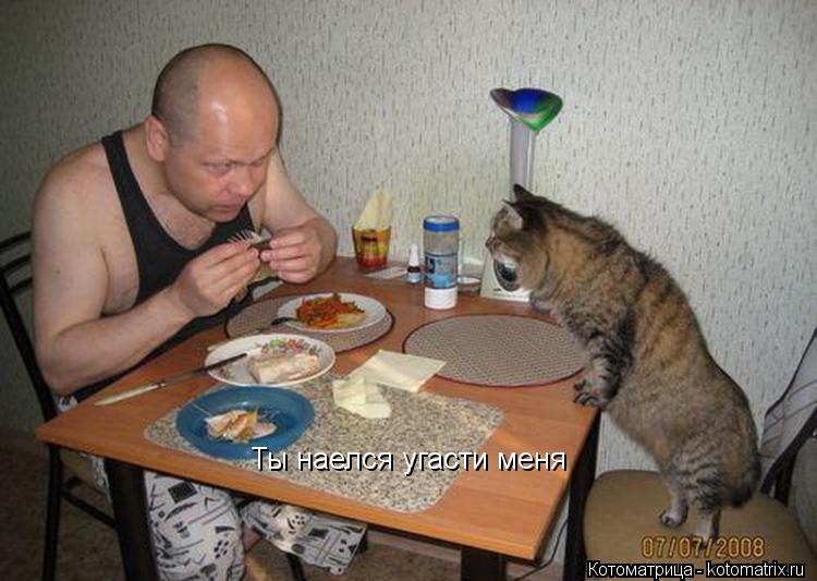Ты наелся угасти меня... Котоматрица: Ты наелся угасти меня