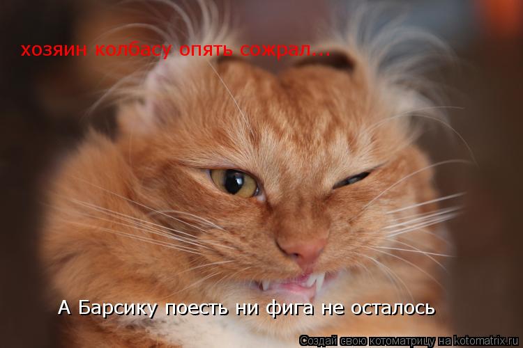 хозяин колбасу опять сожрал... А Барсику поесть ни фига не осталось... Котоматрица: хозяин колбасу опять сожрал... А Барсику поесть ни фига не осталось