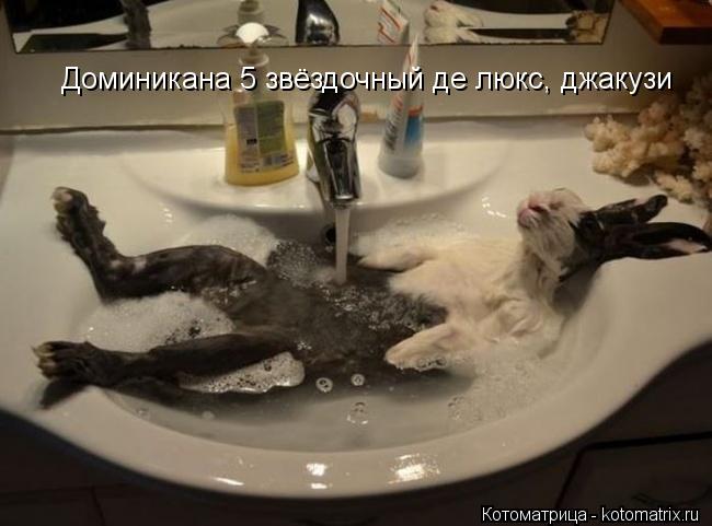 Доминикана 5 звёздочный де люкс, джакузи... Котоматрица: Доминикана 5 звёздочный де люкс, джакузи