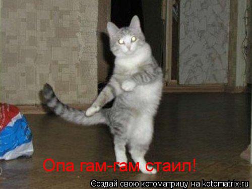 Опа гам-гам стаил!... Котоматрица: Опа гам-гам стаил!