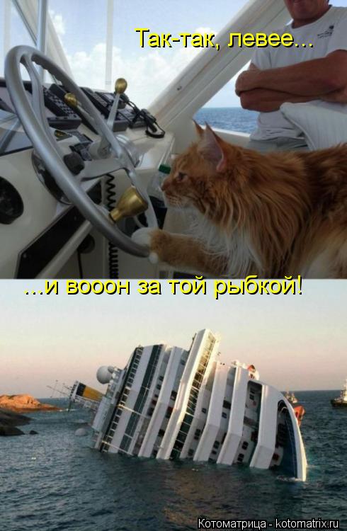 Так-так, левее... ...и вооон за той рыбкой!... Котоматрица: Так-так, левее... ...и вооон за той рыбкой!