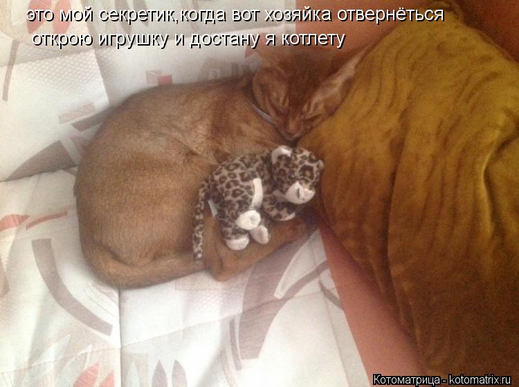 это мой секретик,когда вот хозяйка отвернёться открою игрушку и достану я котлету... Котоматрица: это мой секретик,когда вот хозяйка отвернёться открою игрушку и достану я котлету