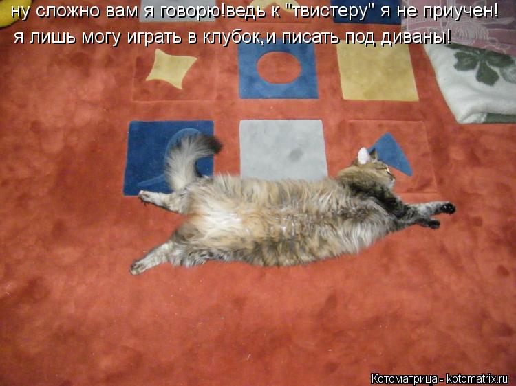 ну сложно вам я говорю!ведь к "твистеру" я не приучен! я лишь могу играть в клубок,и писать под диван... Котоматрица: ну сложно вам я говорю!ведь к "твистеру" я не приучен! я лишь могу играть в клубок,и писать под диваны!