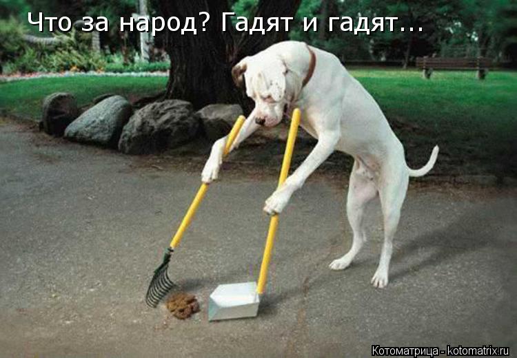 Что за народ? Гадят и гадят...... Котоматрица: Что за народ? Гадят и гадят...