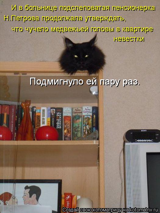 Котоматрица: И в больнице подслеповатая пенсионерка  Н.Петрова продолжала утверждать,  что чучело медвежьей головы в квартире невестки Подмигнуло ей па