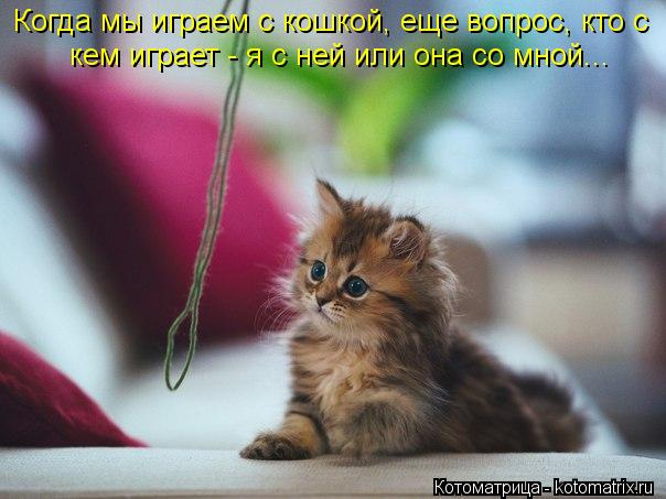 Котоматрица: Когда мы играем с кошкой, еще вопрос, кто с  кем играет - я с ней или она со мной...