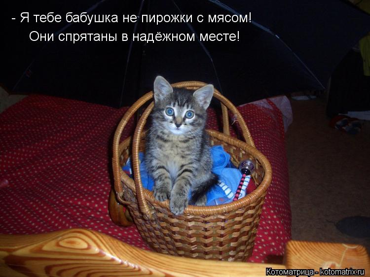 - Я тебе бабушка не пирожки с мясом! Они спрятаны в надёжном месте!... Котоматрица: - Я тебе бабушка не пирожки с мясом! Они спрятаны в надёжном месте!