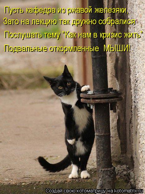 Пусть кафедра из ржавой железяки, Послушать тему "Как нам в кризис жить" Зато на лекцию так дружно со... Котоматрица: Пусть кафедра из ржавой железяки, Послушать тему "Как нам в кризис жить" Зато на лекцию так дружно собралися Подвальные откормленные МЫШИ!