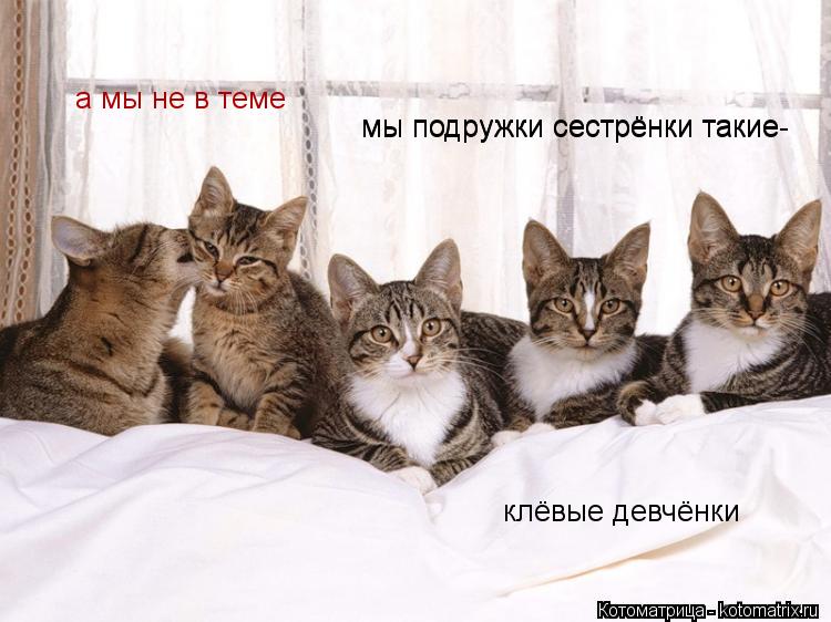 мы подружки сестрёнки такие мы подружки сестрёнки такие- клёвые девчёнки а мы не в теме... Котоматрица: мы подружки сестрёнки такие мы подружки сестрёнки такие- клёвые девчёнки а мы не в теме