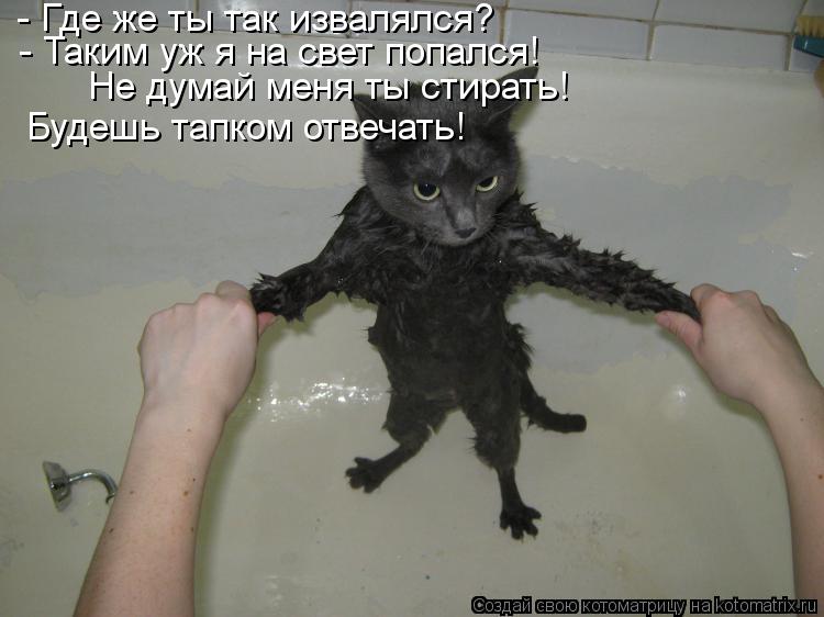 - Где же ты так извалялся? - Таким уж я на свет попался! Не думай меня ты стирать! Будешь тапком отв... Котоматрица: - Где же ты так извалялся? - Таким уж я на свет попался! Не думай меня ты стирать! Будешь тапком отвечать!