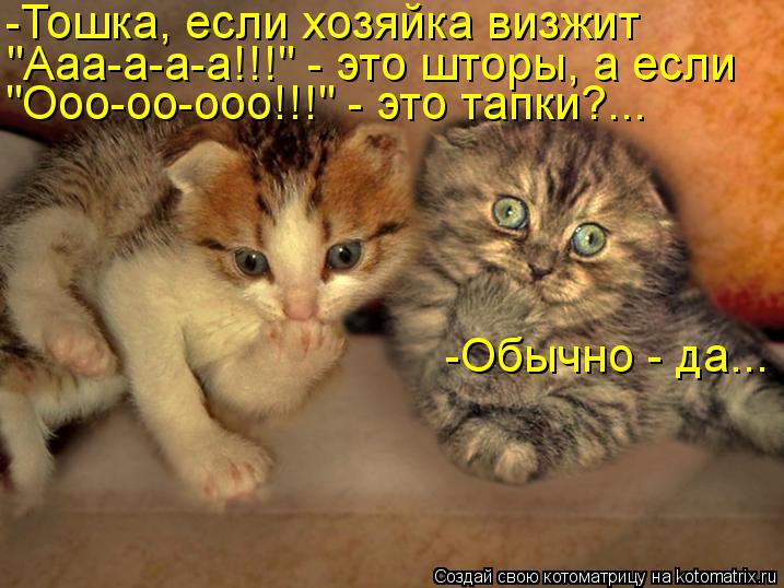 -Тошка, если хозяйка визжит "Ааа-а-а-а!!!" - это шторы, а если "Ооо-оо-ооо!!!" - это тапки?... -Обыч... Котоматрица: -Тошка, если хозяйка визжит "Ааа-а-а-а!!!" - это шторы, а если "Ооо-оо-ооо!!!" - это тапки?... -Обычно - да...