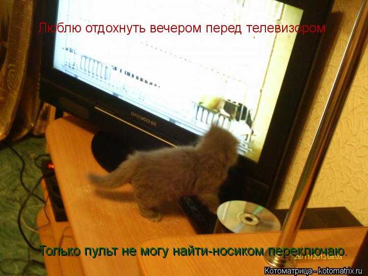Люблю отдохнуть вечером перед телевизором Только пульт не могу найти-носиком переключаю.... Котоматрица: Люблю отдохнуть вечером перед телевизором Только пульт не могу найти-носиком переключаю.