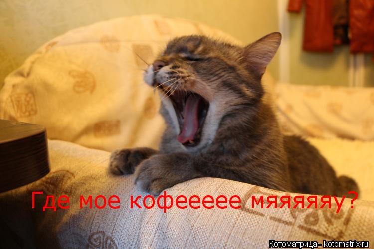 Где мое кофеееее мяяяяяу?... Котоматрица: Где мое кофеееее мяяяяяу?