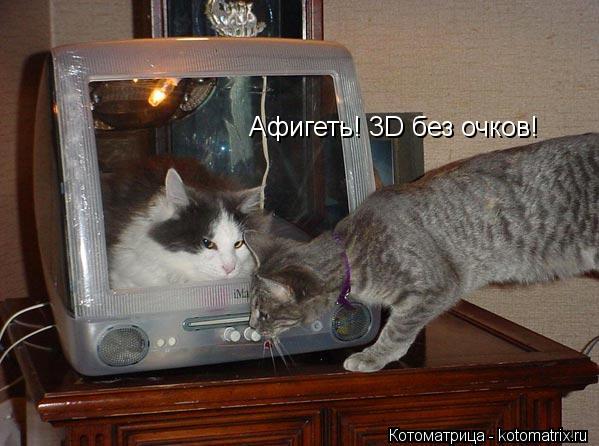 Афигеть! 3D без очков!... Котоматрица: Афигеть! 3D без очков!