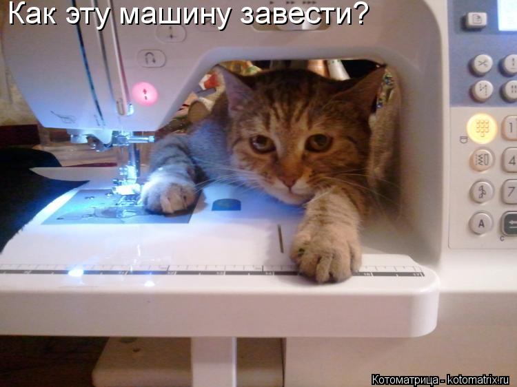 Как эту машину завести?... Котоматрица: Как эту машину завести?
