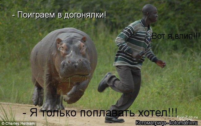 - Поиграем в догонялки! - Вот я влип!!! - Я только поплавать хотел!!!... Котоматрица: - Поиграем в догонялки! - Вот я влип!!! - Я только поплавать хотел!!!