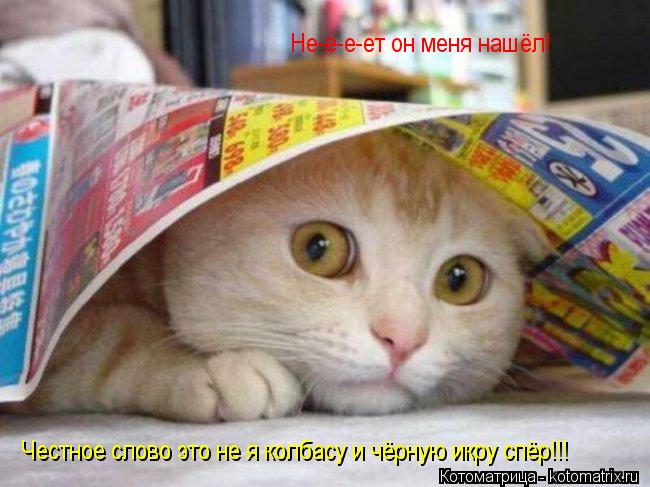 Честное слово это не я колбасу и чёрную икру спёр!!! Не-е-е-ет он меня нашёл!... Котоматрица: Честное слово это не я колбасу и чёрную икру спёр!!! Не-е-е-ет он меня нашёл!
