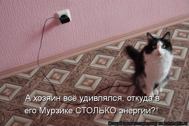 Котоматрица: А хозяин всё удивлялся, откуда в  его Мурзике СТОЛЬКО энергии?!