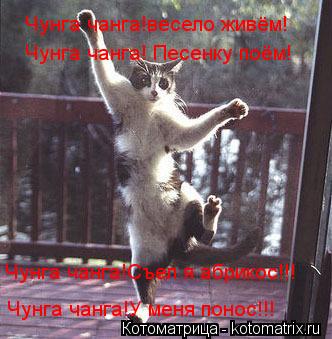 Чунга чанга!весело живём! Чунга чанга! Песенку поём! Чунга чанга!Съел я абрикос!!! Чунга чанга!У мен... Котоматрица: Чунга чанга!весело живём! Чунга чанга! Песенку поём! Чунга чанга!Съел я абрикос!!! Чунга чанга!У меня понос!!!