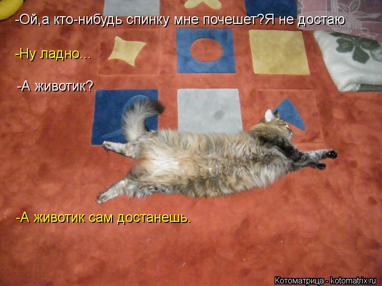 -Ну ладно... -Ой,а кто-нибудь спинку мне почешет?Я не достаю -А животик? -А животик сам достанешь.... Котоматрица: -Ну ладно... -Ой,а кто-нибудь спинку мне почешет?Я не достаю -А животик? -А животик сам достанешь.