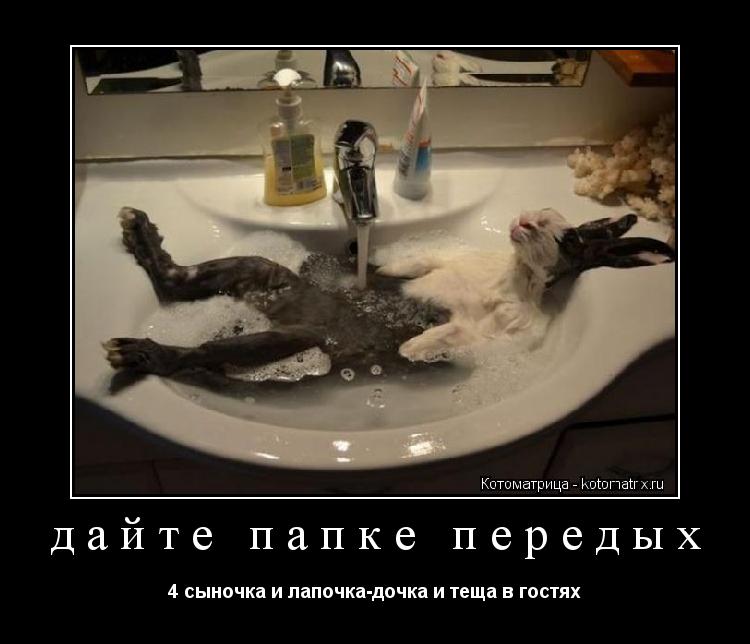Котоматрица: дайте папке передых 4 сыночка и лапочка-дочка и теща в гостях