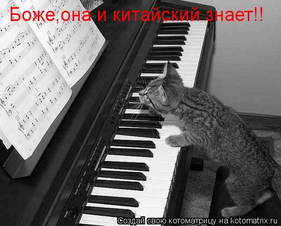 Боже,она и китайский знает!!... Котоматрица: Боже,она и китайский знает!!