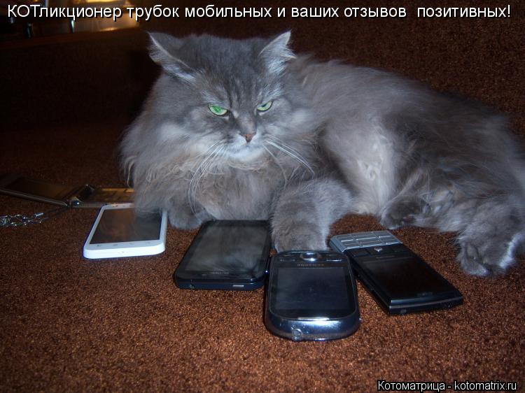 Котоматрица: КОТликционер трубок мобильных и ваших отзывов  позитивных!