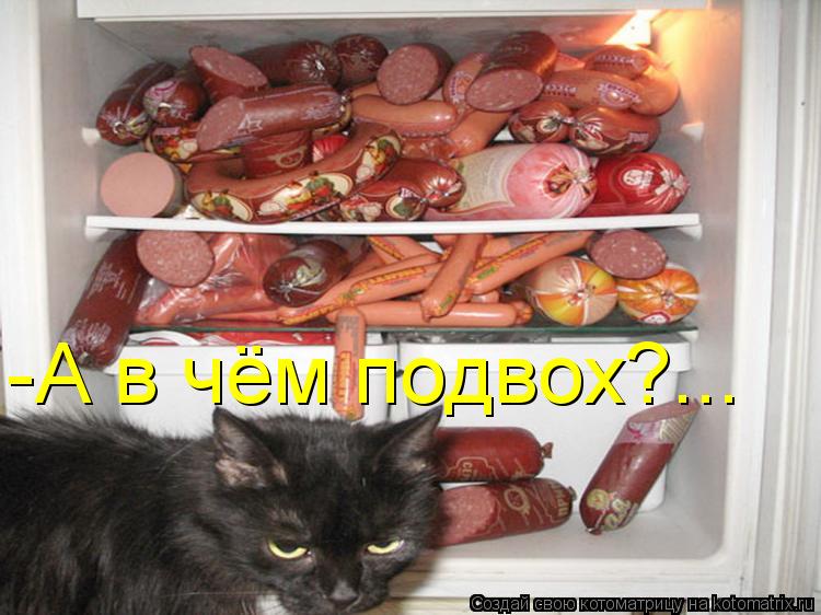 -А в чём подвох?...... Котоматрица: -А в чём подвох?...