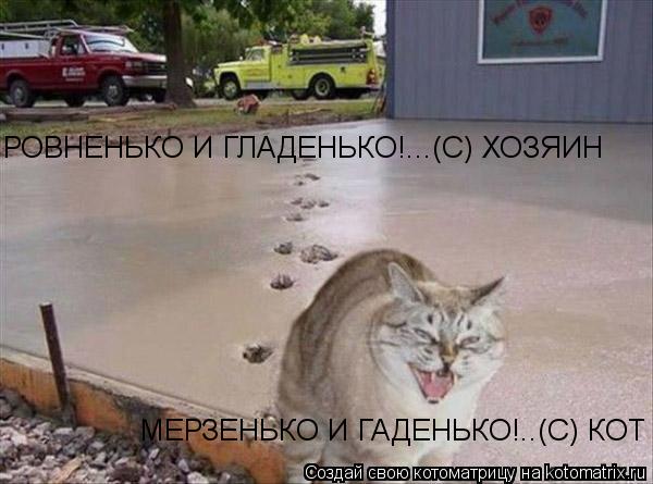 Котоматрица: РОВНЕНЬКО И ГЛАДЕНЬКО!...(С) ХОЗЯИН МЕРЗЕНЬКО И ГАДЕНЬКО!..(С) КОТ