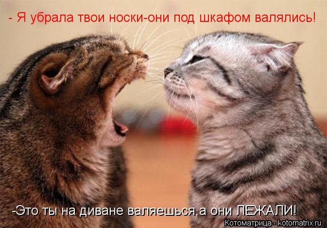 - Я убрала твои носки-они под шкафом валялись! -Это ты на диване валяешься,а они ЛЕЖАЛИ!... Котоматрица: - Я убрала твои носки-они под шкафом валялись! -Это ты на диване валяешься,а они ЛЕЖАЛИ!