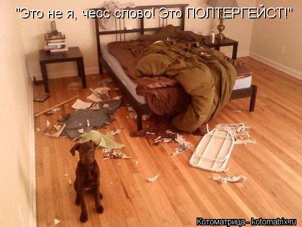 Котоматрица: "Это не я, чесс слово! Это ПОЛТЕРГЕЙСТ!"  "Это не я, чесс слово! Это ПОЛТЕРГЕЙСТ!"