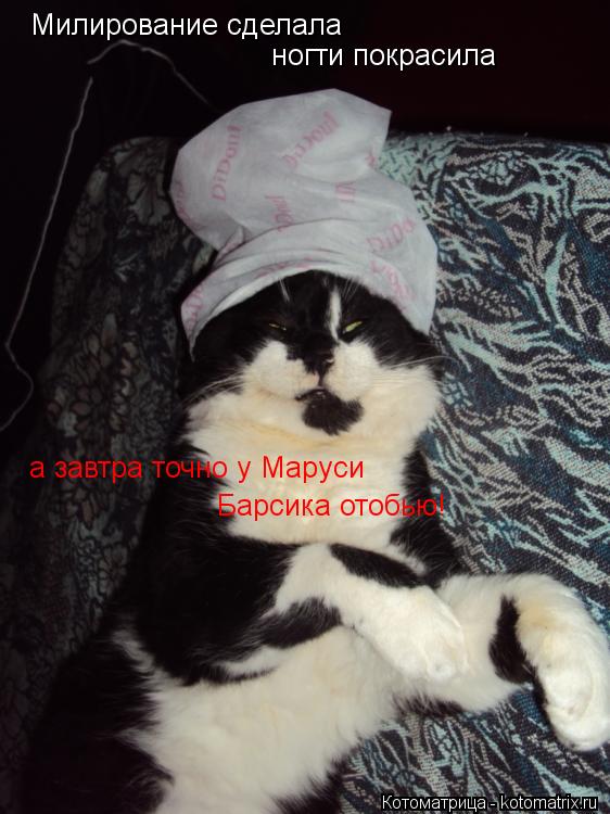 Милирование сделала ногти покрасила а завтра точно у Маруси Барсика отобью!... Котоматрица: Милирование сделала ногти покрасила а завтра точно у Маруси Барсика отобью!