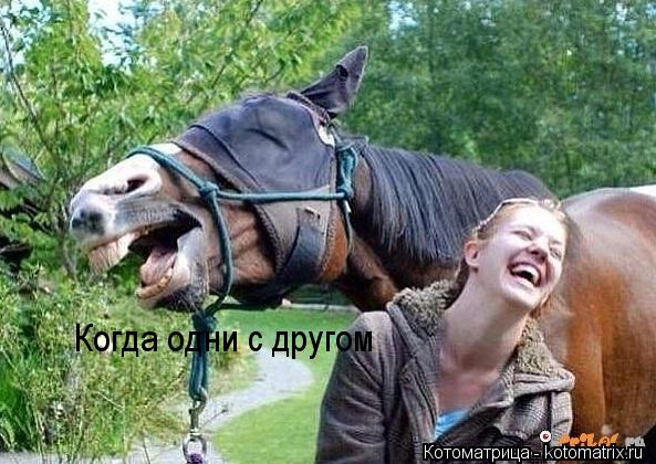 Когда одни с другом... Котоматрица: Когда одни с другом
