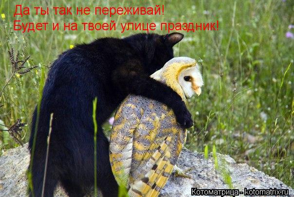Котоматрица: Да ты так не переживай! Будет и на твоей улице праздник!