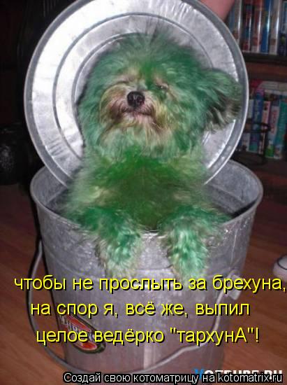 Котоматрица: чтобы не прослыть за брехуна, на спор я, всё же, выпил целое ведёрко "тархунА"!