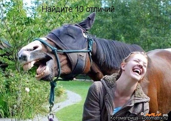 Найдите 10 отличий... Котоматрица: Найдите 10 отличий