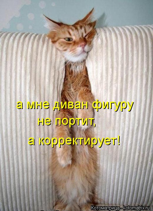 Котоматрица: а мне диван фигуру не портит, а корректирует!
