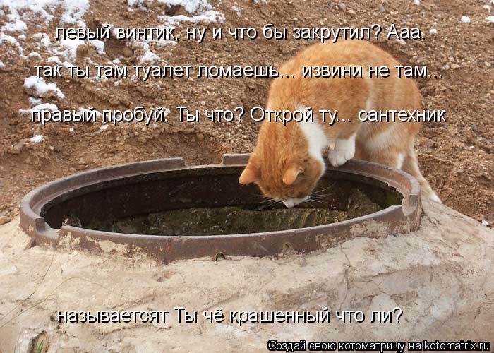 Котоматрица: левый винтик, ну и что бы закрутил? Ааа. так ты там туалет ломаешь... извини не там... правый пробуй. Ты что? Открой ту... сантехник называетсят Т